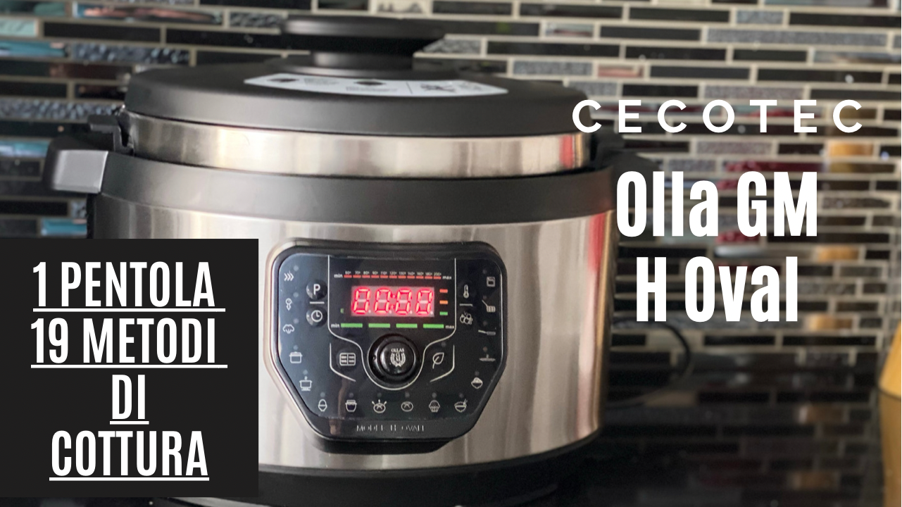 Olla GM H Oval Cecotec